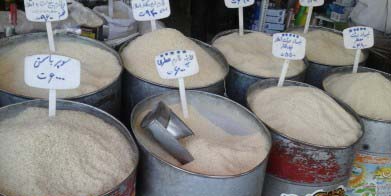 قیمت روز برنج مشهد