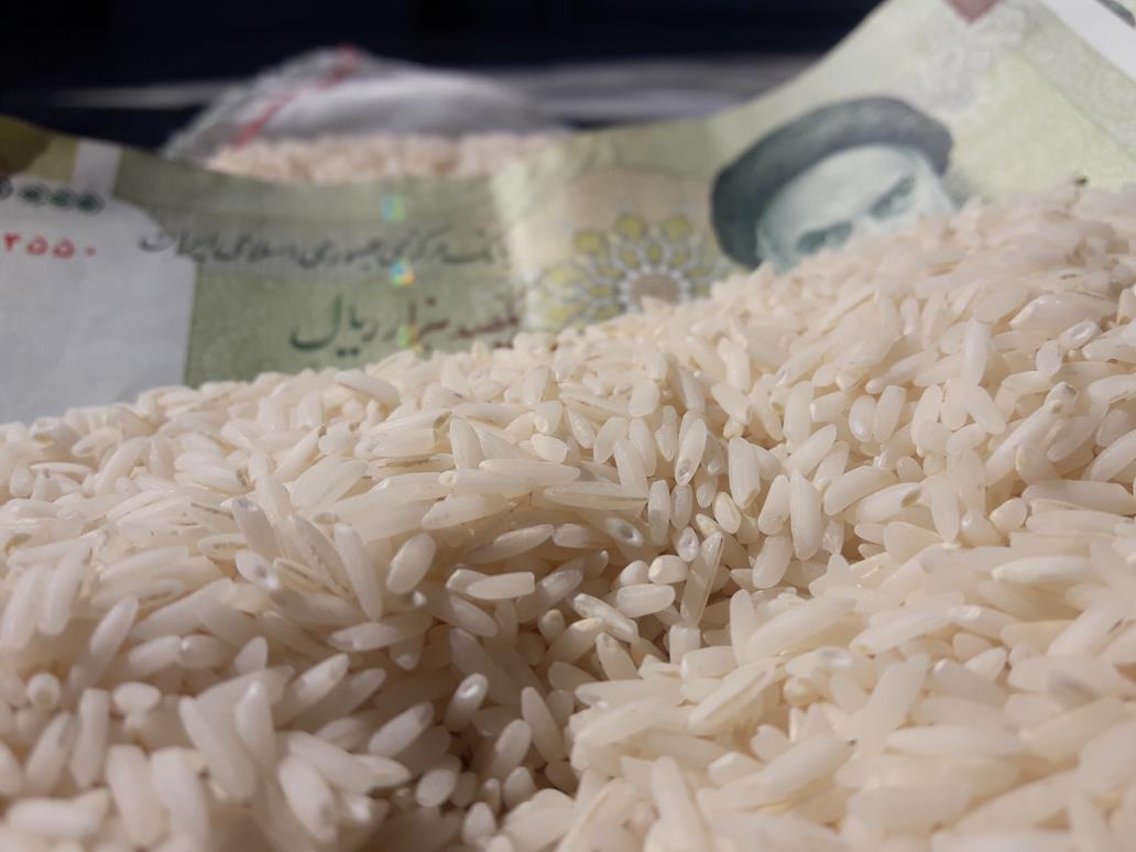 سود خرید و فروش برنج ایرانی