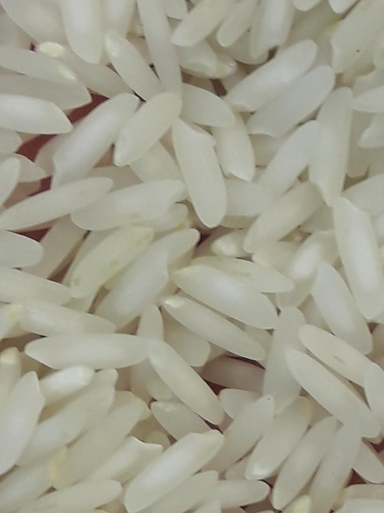 گرانترین برنج مازندران