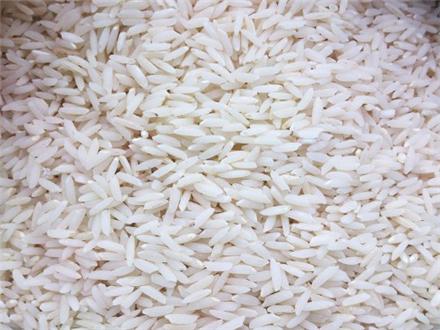 برنج سنگ طارم مرغوب