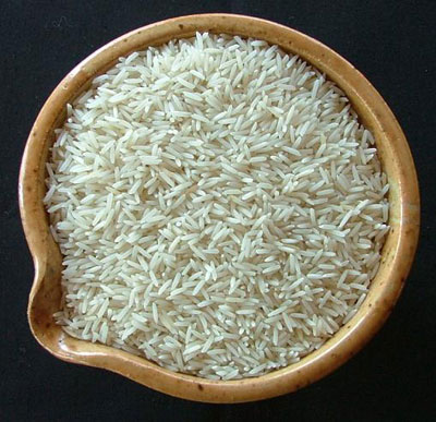 شالی برنج طارم محلی