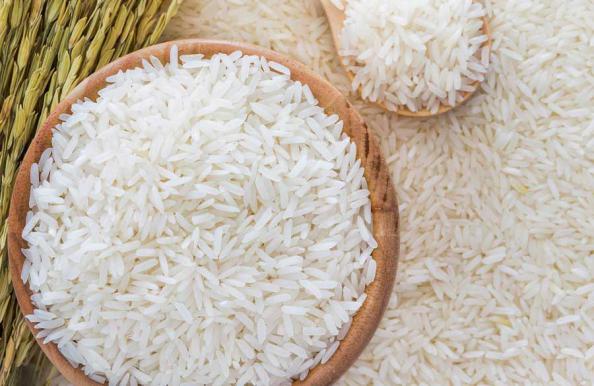 عمده فروشی برنج یزد