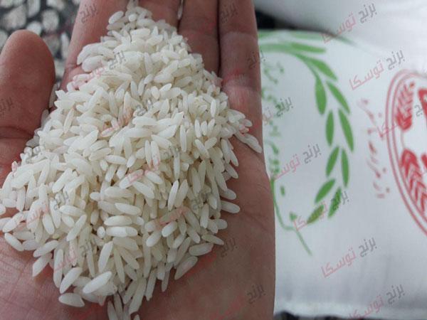 برنج امراللهی کشت دوم