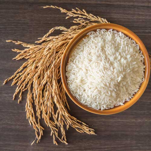 خرید آنلاین برنج شمال