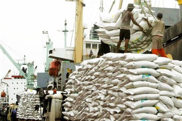 قیمت برنج صادراتی