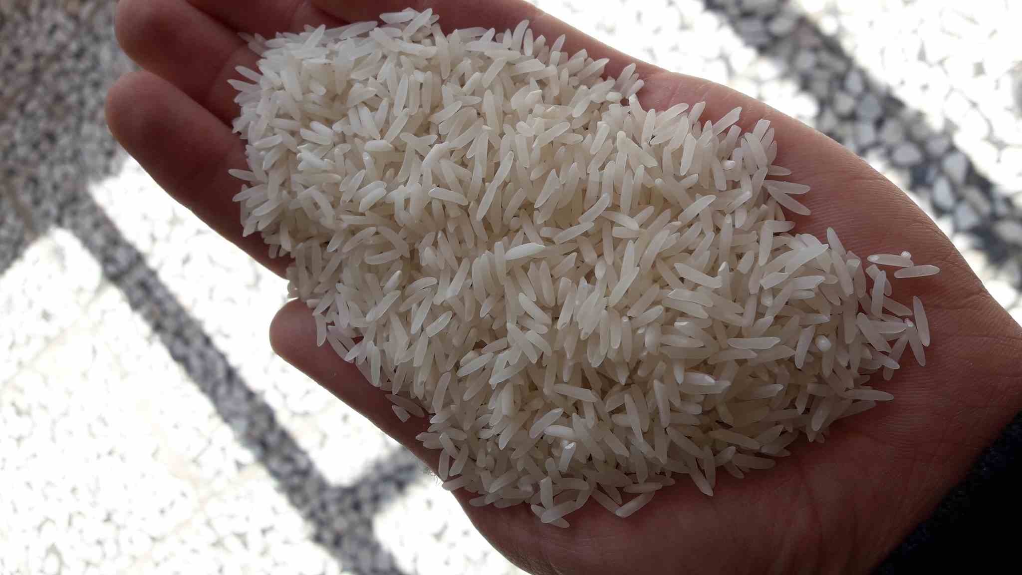 مرکز خرید برنج فجر
