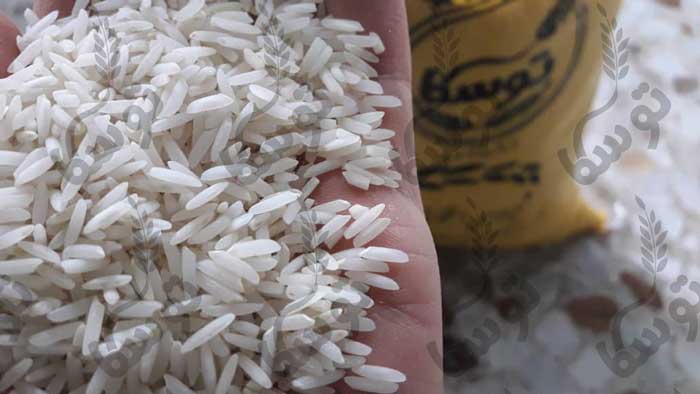 سفارش برنج شیرودی استخوانی دانه بلند