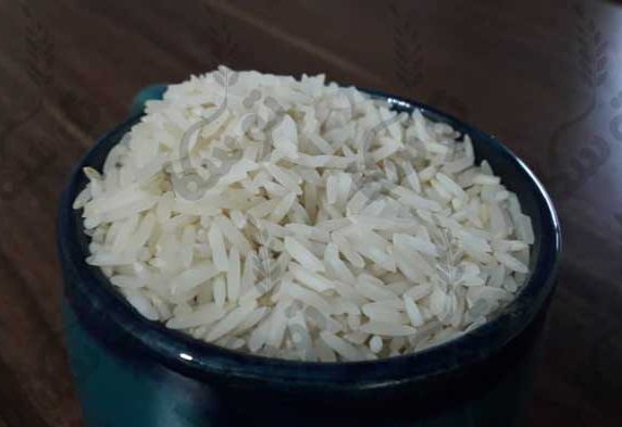 مشخصات برنج شیرودی استخوانی