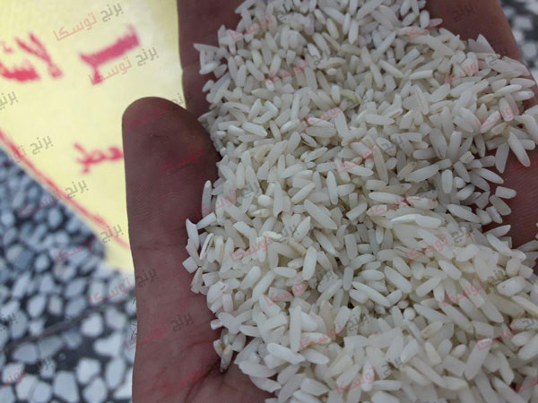 قیمت روز برنج لاشه درب کارخانه