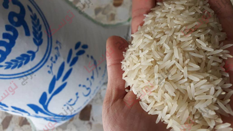 بررسی ویژگی های ظاهری برنج فجر