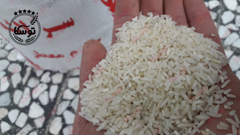 قیمت برنج سرلاشه
