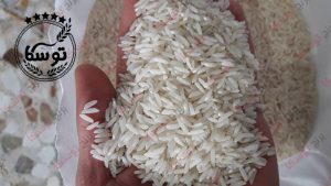مرکز تولید بهترین برنج ایرانی با کیفیت مرغوب