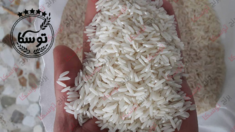 مرکز عرضه برنج طارم مازندران