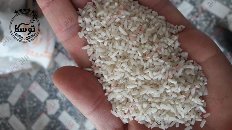 قیمت سرلاشه برنج شیرودی
