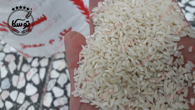 بازار فروش برنج سرلاشه ایرانی