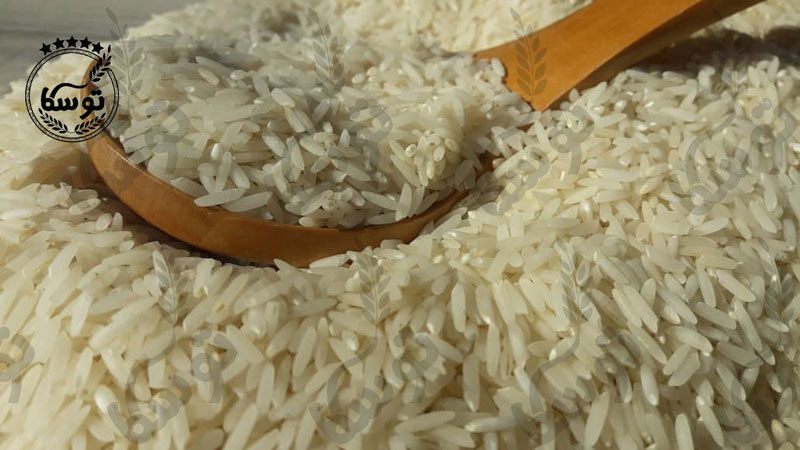 قیمت برنج بر اساس عرضه و تقاضا