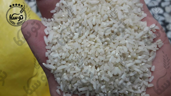 خرید برنج سرلاشه کشت دوم اعلا