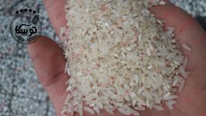 خرید عمده برنج لاشه فجر از شمال