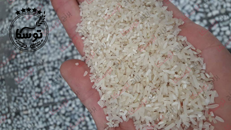 منظور از برنج سرلاشه پرمحصول چیست؟