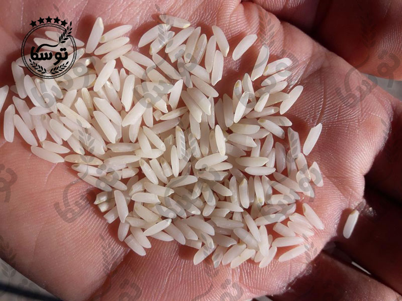 تفاوت برنج شمالی نباتی و کره ای