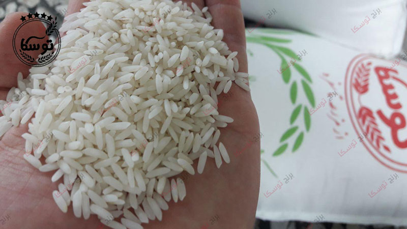 برنج کشت دوم شمال+قیمت
