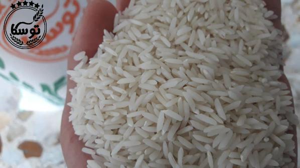 خرید برنج طارم محلی توسکا