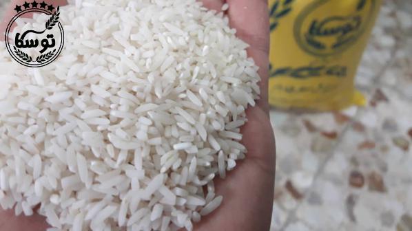 تولید برنج نیم دانه هاشمی در شمال کشور