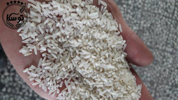 تجارت عمده برنج لاشه هاشمی