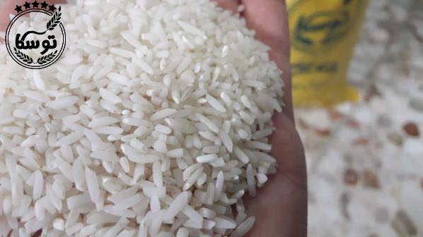 عمده فروشی برنج شکسته توسکا