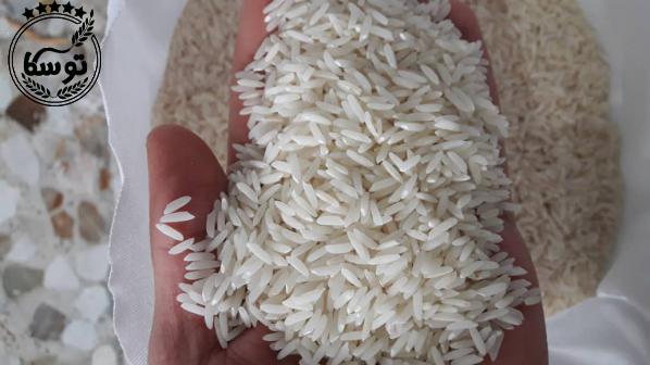 لیست کامل تولید کنندگان برنج در ایران