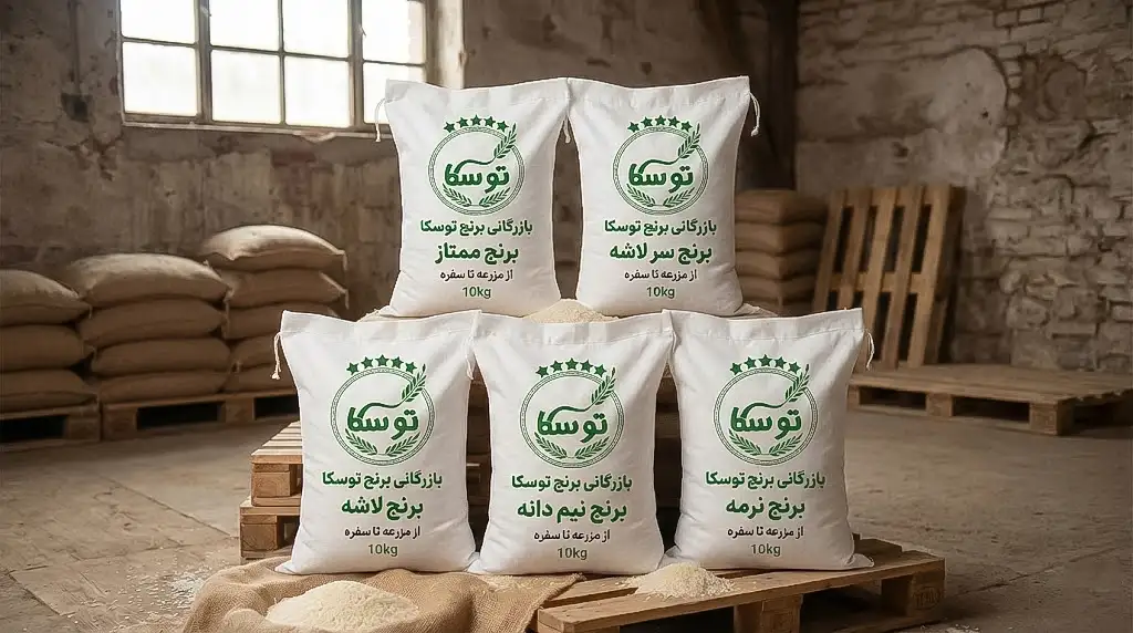 راهنمای خرید بهترین برنج برای شیر برنج؛ مقایسه کاربرد برنج نیمدانه مجلسی و برنج نرمه اقتصادی توسکا