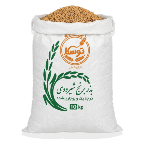 گونی ۱۰ کیلویی بذر برنج شیرودی توسکا با درب باز که خلوص و رنگ طلایی شالیهای بوجاری شده در آن نمایان است