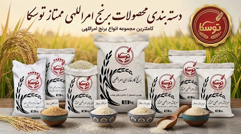 بنر دستهبندی کامل محصولات برنج کشت دوم امراللهی بینام توسکا در شالیزار