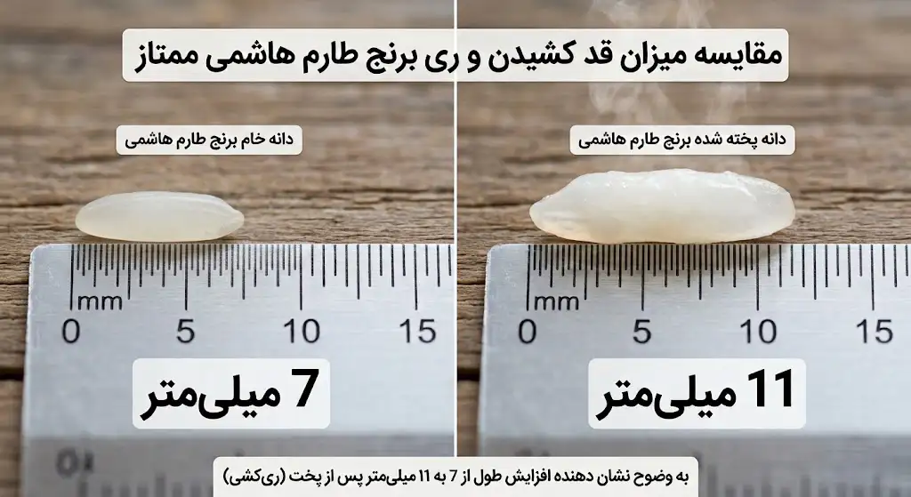 میزان ری کردن و قد کشیدن برنج طارم هاشمی ممتاز از ۷ میلیمتر خام به ۱۱ میلیمتر پخته