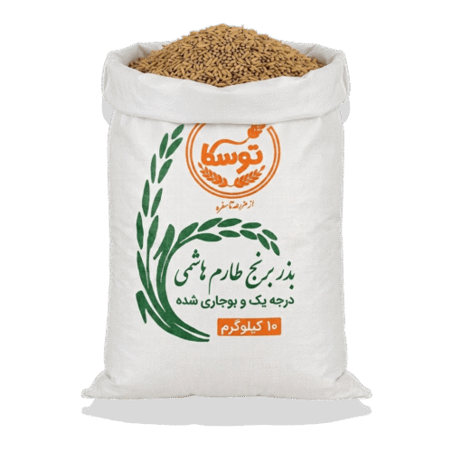 بذر برنج طارم هاشمی بوجاری شده توسکا داخل گونی ۱۰ کیلوگرمی با درب باز